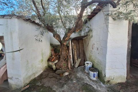 Villa a Moura, Beja, Moura - € 54.000 | Ref: 0320 - foto 16