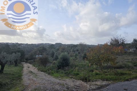 Helårsgrund i Ourem, Santarem, Ourem - € 35.000 | Ref: TER_780 - foto 2