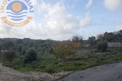 Helårsgrund i Ourem, Santarem, Ourem - € 35.000 | Ref: TER_780 - foto 3