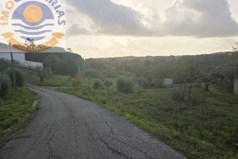 Helårsgrund i Ourem, Santarem, Ourem - € 35.000 | Ref: TER_780 - foto 4