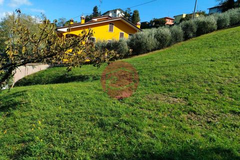 Terra a Roncofreddo, Forli-Cesena, Roncofreddo - € 55.000 | Ref: G-L1-042 - foto 3