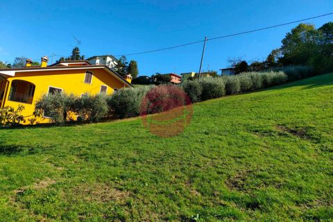 Terra a Roncofreddo, Forli-Cesena, Roncofreddo - € 55.000 | Ref: G-L1-042 - foto 2