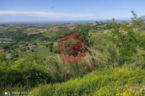 Terra a Roncofreddo, Forli-Cesena, Roncofreddo - € 55.000 | Ref: G-L1-042 - foto 6