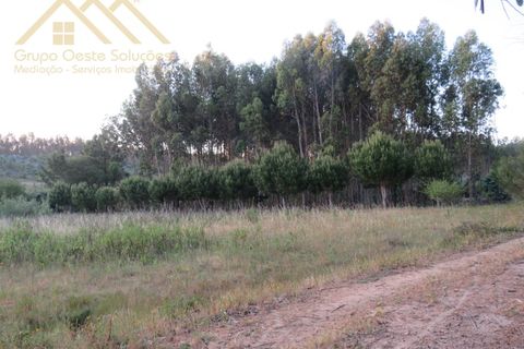 Helårsgrund i Torres Vedras, Lisbon, Torres Vedras - € 40.000 | Ref: GD2311330801 - foto 2