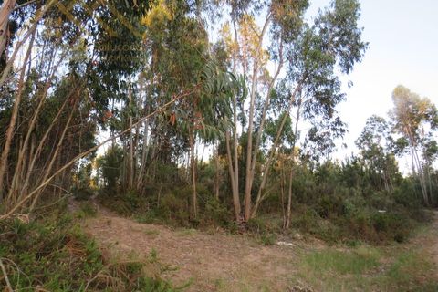 Helårsgrund i Torres Vedras, Lisbon, Torres Vedras - € 40.000 | Ref: GD2311330801 - foto 4