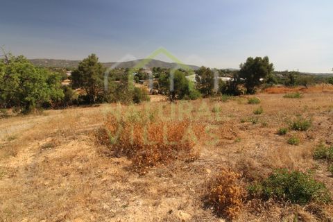 Terra a Olhao, Faro, Olhao - € 500/mes | Ref: TER_2862_ARR - foto 5