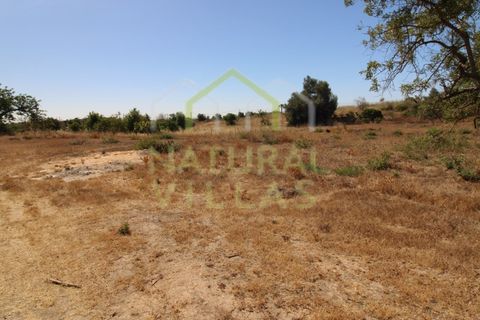 Terra a Olhao, Faro, Olhao - € 500/mes | Ref: TER_2862_ARR - foto 4