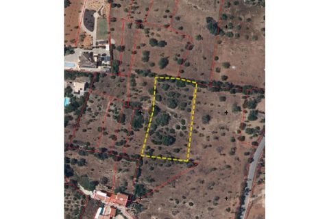 Terra a Olhao, Faro, Olhao - € 500/mes | Ref: TER_2862_ARR - foto 6