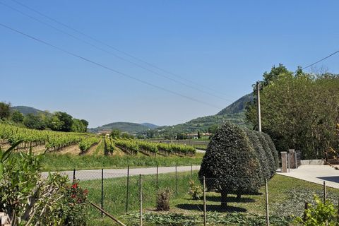 Villa i Baone, Padua, Baone - € 200.000 | Ref: BIF 483 - foto 21