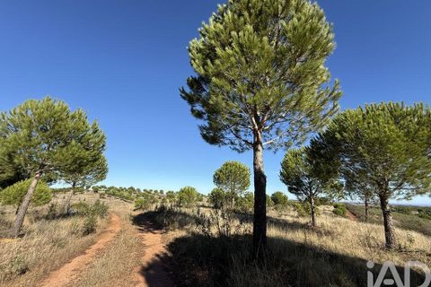 Byhus i Portel, Evora, Portel - € 84.000 | Ref: 776106 - foto 2