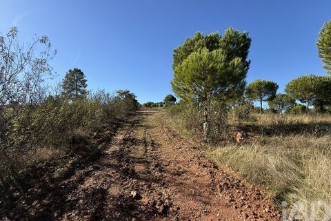 Byhus i Portel, Evora, Portel - € 84.000 | Ref: 776106 - foto 3