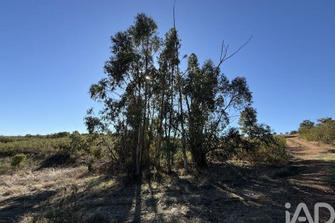 Byhus i Portel, Evora, Portel - € 84.000 | Ref: 776106 - foto 8