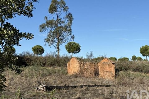 Byhus i Portel, Evora, Portel - € 84.000 | Ref: 776106 - foto 15