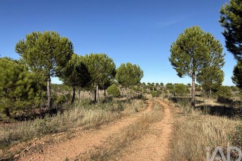Byhus i Portel, Evora, Portel - € 84.000 | Ref: 776106 - foto 20