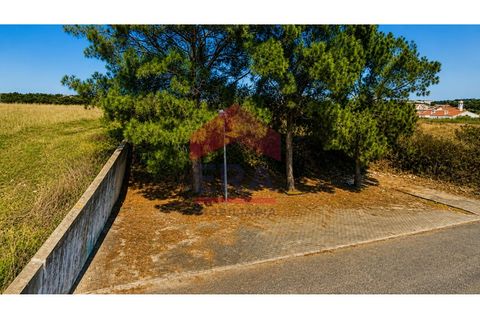 Helårsgrund i A dos Cunhados e Maceira, Lisbon, A dos Cunhados e Maceira - € 92.500 | Ref: 150250386 - foto 2