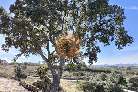 Helårsgrund i Castro Marim, Faro, Castro Marim - € 49.900 | Ref: SU-CS-TR-94021 - foto 21