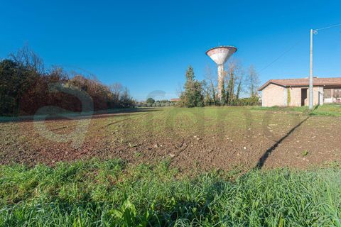 Villa a Roccasecca, Frosinone, Roccasecca - € 190.000 | Ref: AC99-149-1696 - foto 37