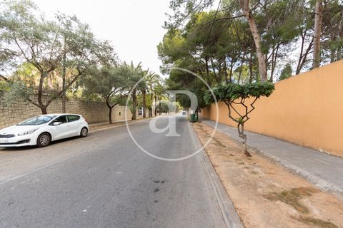 Terra a Chiva, Valencia, Chiva - € 110.000 | Ref: VV2512038 - foto 10