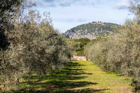 Herregård i Pollenca, Mallorca, Pollenca - € 7 650 000 | Ref: 82866 - foto 17