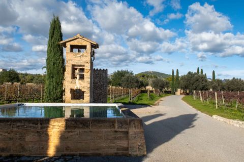 Herregård i Pollenca, Mallorca, Pollenca - € 7 650 000 | Ref: 82866 - foto 18