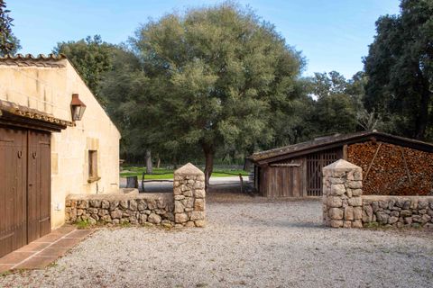 Herregård i Pollenca, Mallorca, Pollenca - € 7 650 000 | Ref: 82866 - foto 26