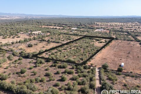 Grundstück in Campos, Mallorca - Foto 2