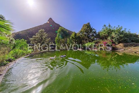 Villa a Ifonche, Tenerife, Ifonche - € 799.000 | Ref: W-047SJW - foto 17