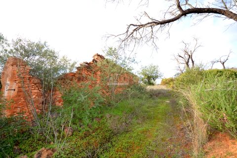 Helårsgrund i Loule, Faro, Loule - € 350.000 | Ref: 1009-2403 - foto 5