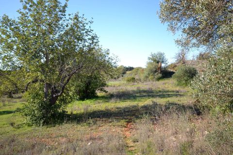Helårsgrund i Loule, Faro, Loule - € 350.000 | Ref: 1009-2403 - foto 6