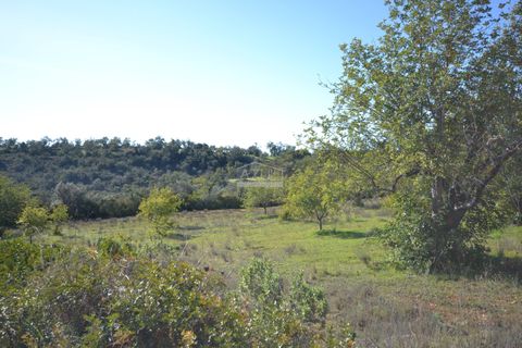 Helårsgrund i Loule, Faro, Loule - € 350.000 | Ref: 1009-2403 - foto 7