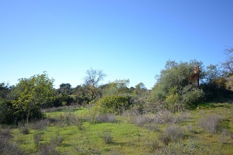 Helårsgrund i Loule, Faro, Loule - € 350.000 | Ref: 1009-2403 - foto 8