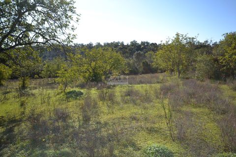 Helårsgrund i Loule, Faro, Loule - € 350.000 | Ref: 1009-2403 - foto 9