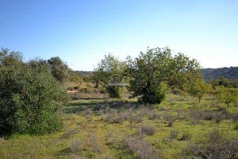 Helårsgrund i Loule, Faro, Loule - € 350.000 | Ref: 1009-2403 - foto 10