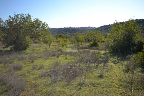 Helårsgrund i Loule, Faro, Loule - € 350.000 | Ref: 1009-2403 - foto 11