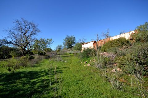 Helårsgrund i Loule, Faro, Loule - € 350.000 | Ref: 1009-2403 - foto 14