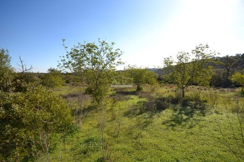 Helårsgrund i Loule, Faro, Loule - € 350.000 | Ref: 1009-2403 - foto 15