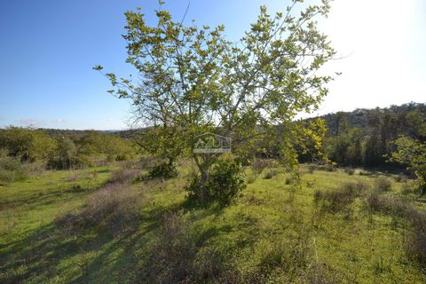 Helårsgrund i Loule, Faro, Loule - € 350.000 | Ref: 1009-2403 - foto 18