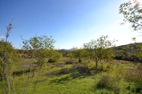 Helårsgrund i Loule, Faro, Loule - € 350.000 | Ref: 1009-2403 - foto 20