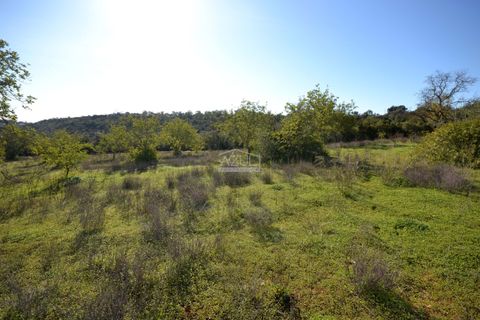 Helårsgrund i Loule, Faro, Loule - € 350.000 | Ref: 1009-2403 - foto 23