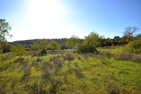 Helårsgrund i Loule, Faro, Loule - € 350.000 | Ref: 1009-2403 - foto 24