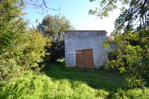 Villa i Loule, Faro, Loule - € 630.000 | Ref: 1009-2404 - foto 4