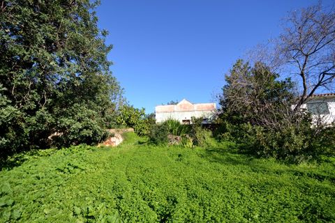 Villa i Loule, Faro, Loule - € 630.000 | Ref: 1009-2404 - foto 13