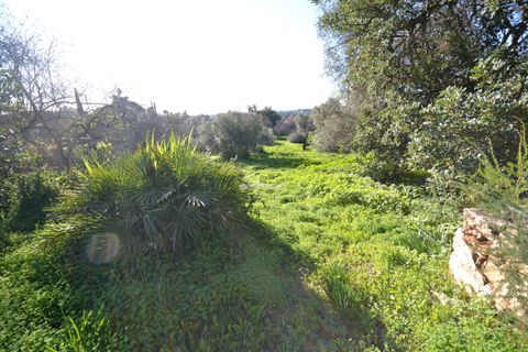 Villa i Loule, Faro, Loule - € 630.000 | Ref: 1009-2404 - foto 14