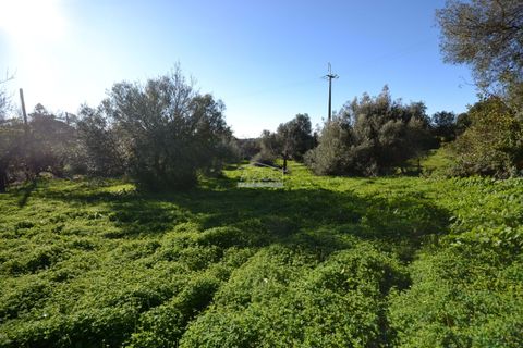 Villa i Loule, Faro, Loule - € 630.000 | Ref: 1009-2404 - foto 15