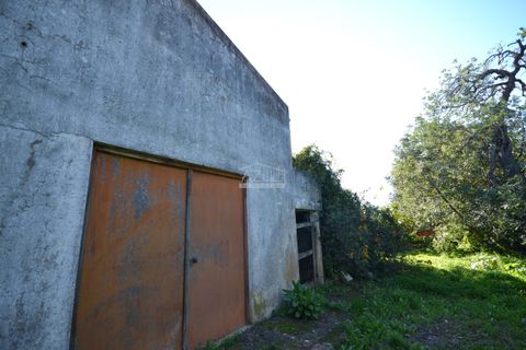 Villa i Loule, Faro, Loule - € 630.000 | Ref: 1009-2404 - foto 17