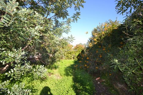 Villa i Loule, Faro, Loule - € 630.000 | Ref: 1009-2404 - foto 19