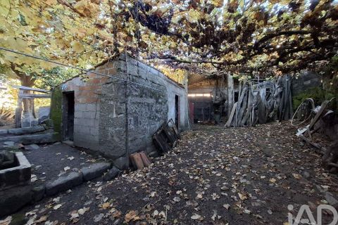 Byhus i Vila Real, Vila Real, Vila Real - € 175.000 | Ref: 772817 - foto 18