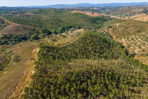 Villa a Odemira, Beja, Odemira - € 625.000 | Ref: SV2209c - foto 33
