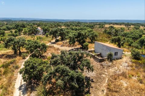 Villa a Odemira, Beja, Odemira - € 1.450.000 | Ref: SV2412a - foto 28