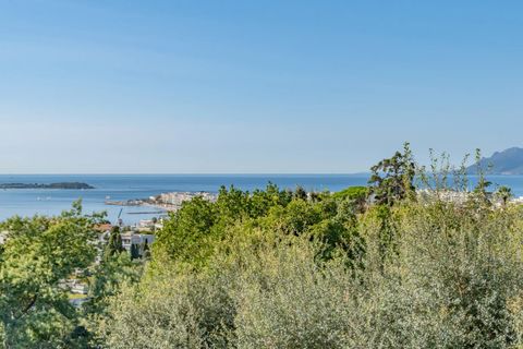 Villa a Cannes, Alpes-Maritimes, Cannes - € 6.970.000 | Ref: HH-16016281 - foto 8